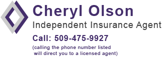 Cheryl Olson Insurance logo